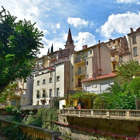 T2 Tout Confort Amélie-les-Bains-Palalda Екстериор снимка