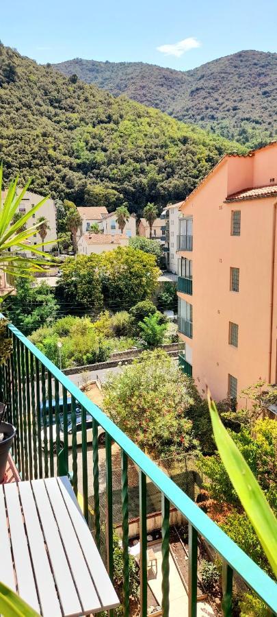 T2 Tout Confort Amélie-les-Bains-Palalda Екстериор снимка