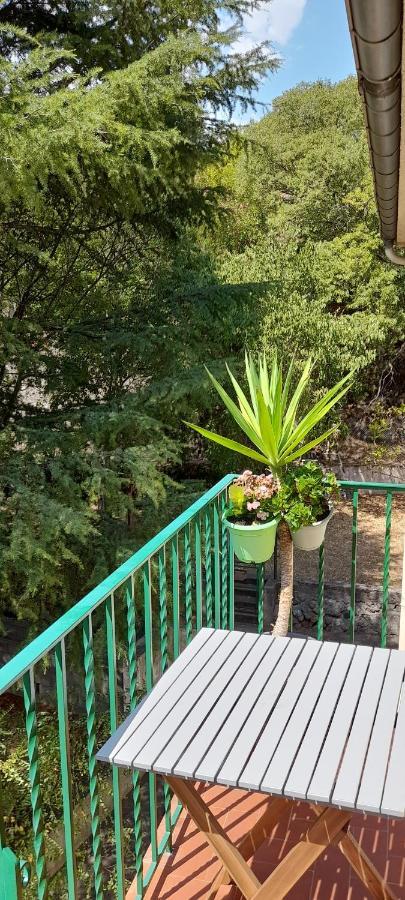 T2 Tout Confort Amélie-les-Bains-Palalda Екстериор снимка