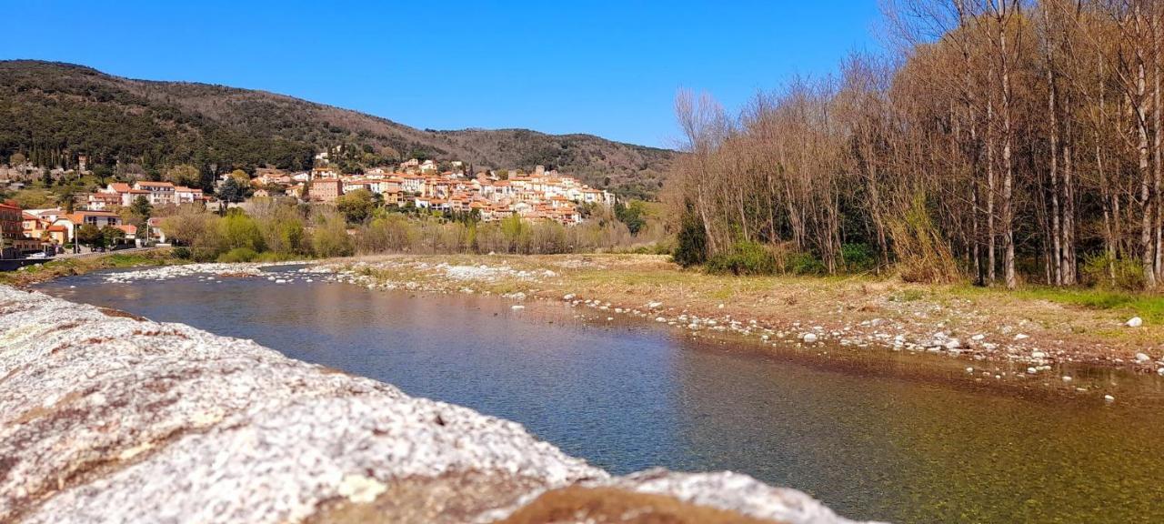 T2 Tout Confort Amélie-les-Bains-Palalda Екстериор снимка