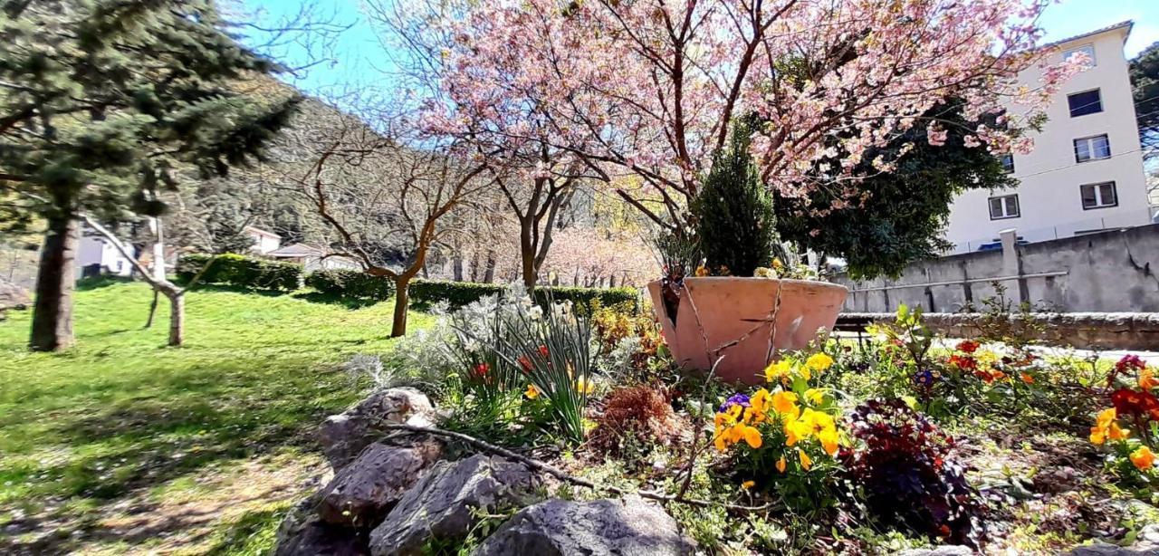 T2 Tout Confort Amélie-les-Bains-Palalda Екстериор снимка