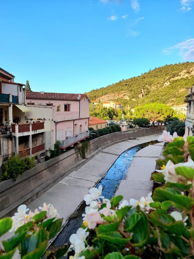 T2 Tout Confort Amélie-les-Bains-Palalda Екстериор снимка