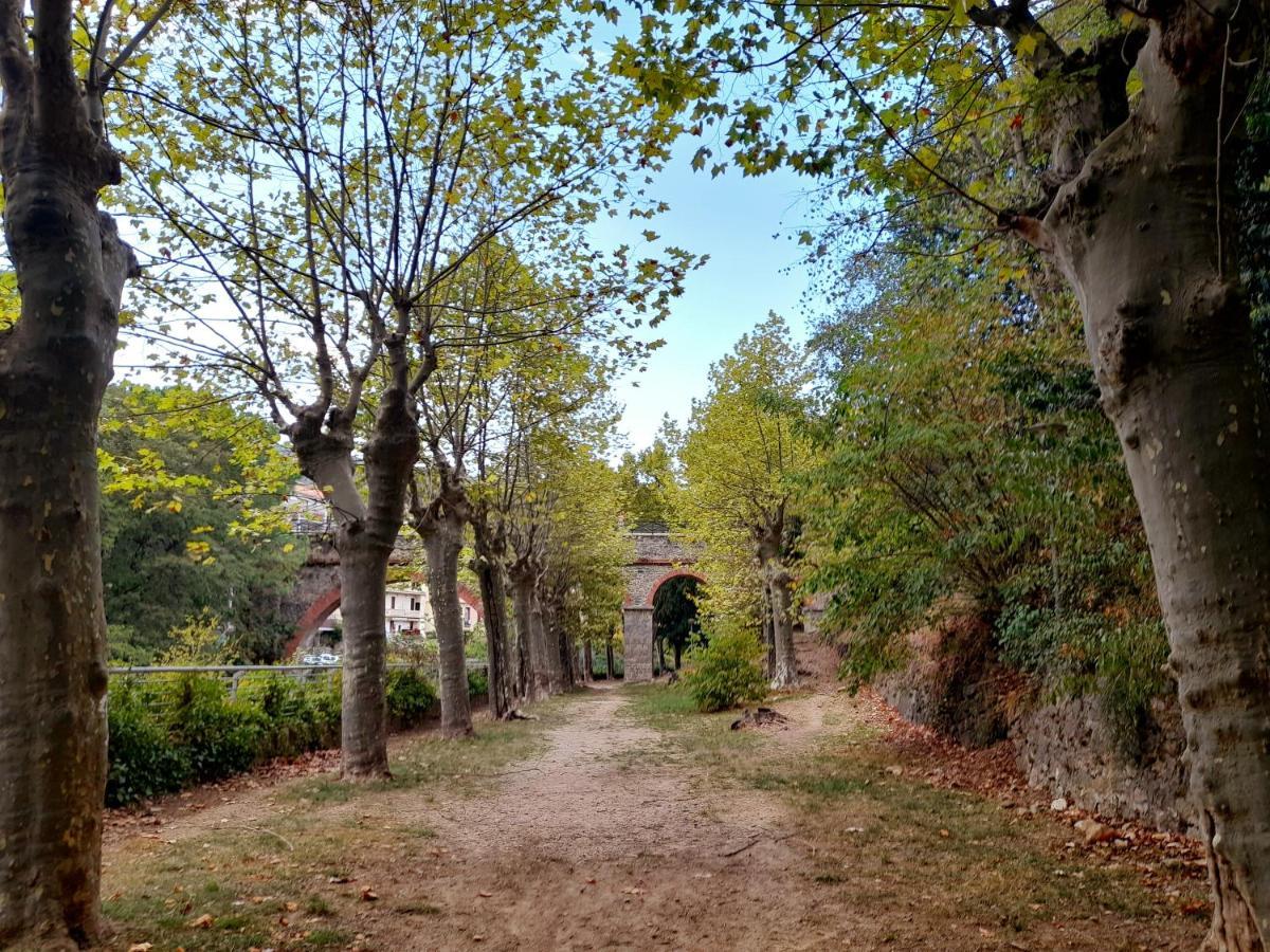 T2 Tout Confort Amélie-les-Bains-Palalda Екстериор снимка